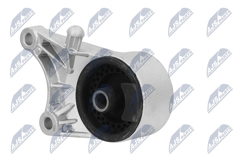 Paigutus, Mootor, NTY ZPS-PL-036