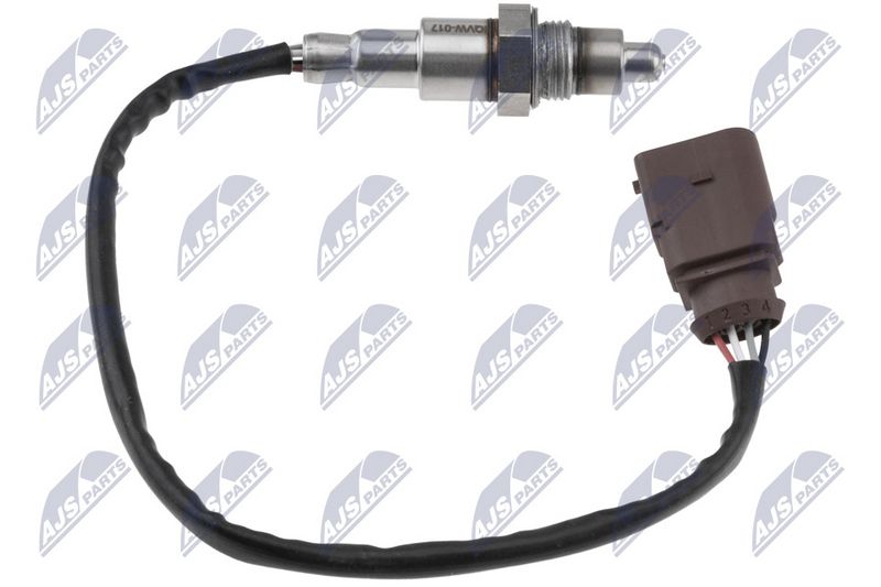 ESL-VW-017_1-WM.JPG