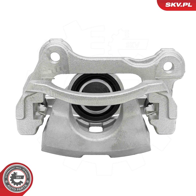 Pidurisadul, ESEN SKV 79SKV173