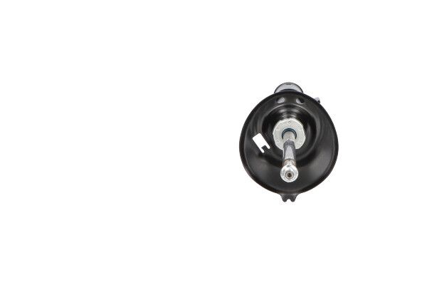 Kavo Parts SSA-10479 Shock Absorber