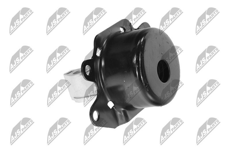 Paigutus, Mootor, NTY ZPS-PL-053