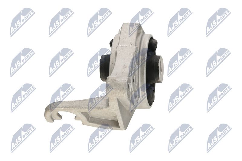 Paigutus, Mootor, NTY ZPS-CH-113