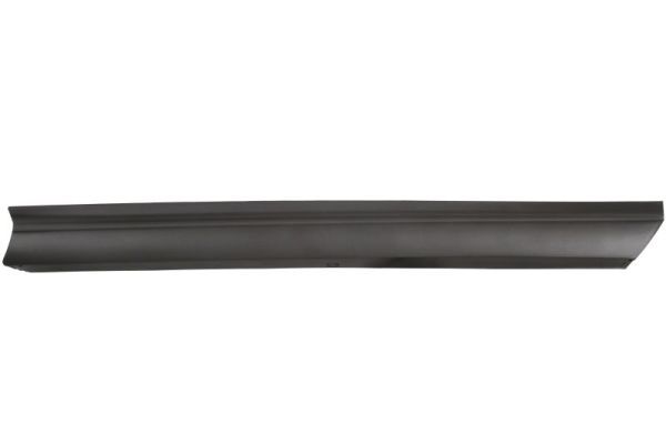 Elemente decorative/protectie, portiera BLIC 5703-04-8268572P
