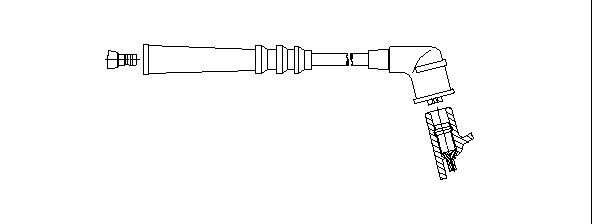 3A19_.JPG