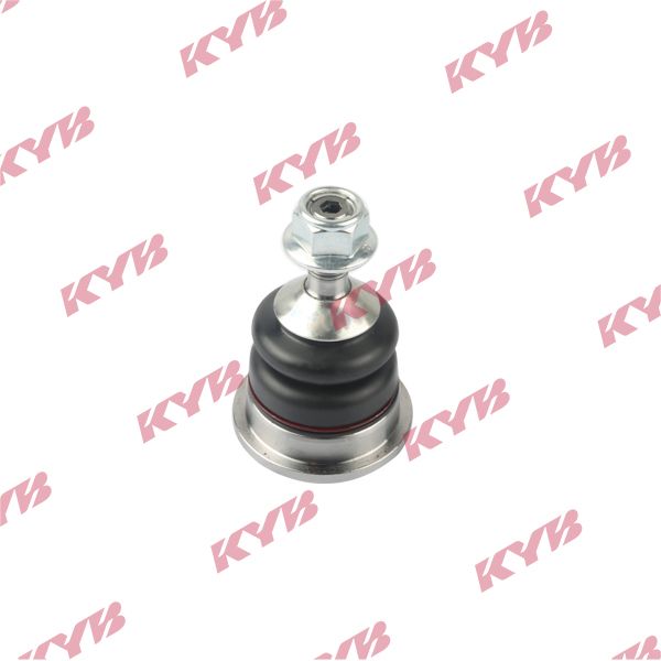 KYB-KBJ4385.JPG