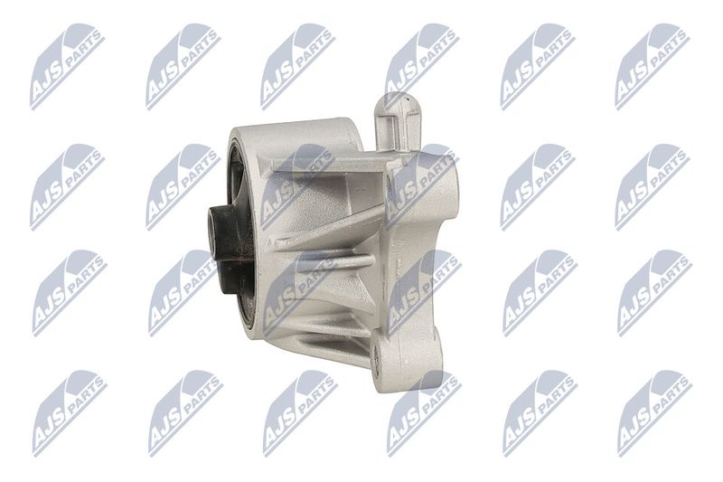 Paigutus, Mootor, NTY ZPS-PL-093
