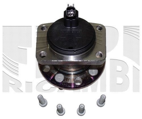 RK7843.JPG