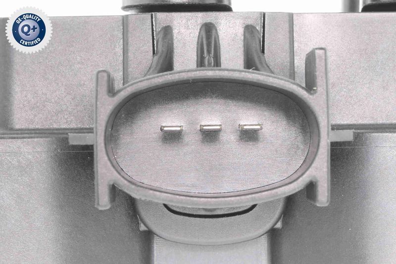 V25-70-0001-1_03.JPG