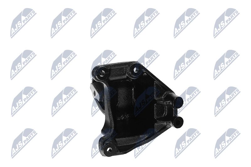 Paigutus, Mootor, NTY ZPS-CH-173