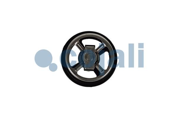 Termostat, chladivo 2880275