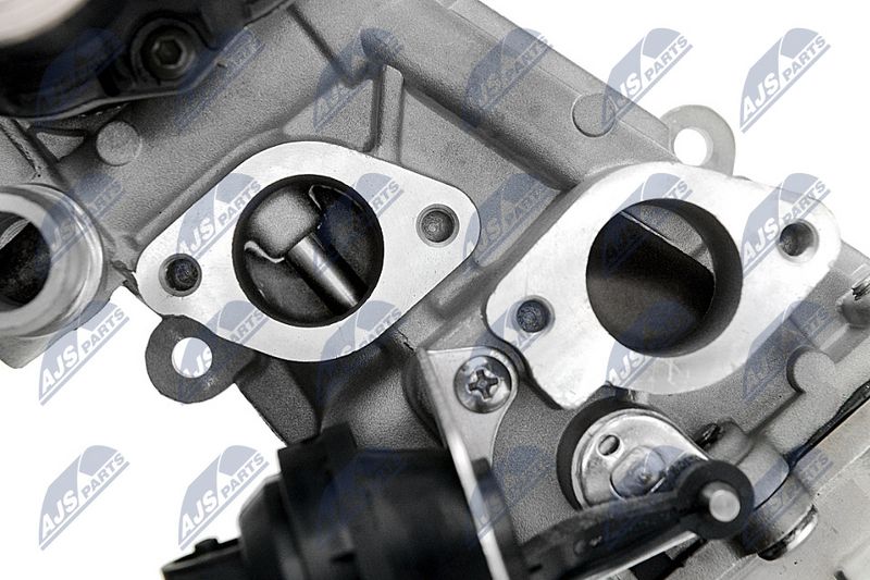 egr-vw-007_6-wm.JPG
