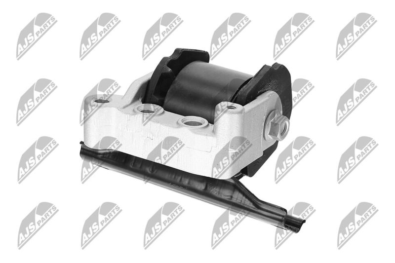 Paigutus, Mootor, NTY ZPS-CH-071