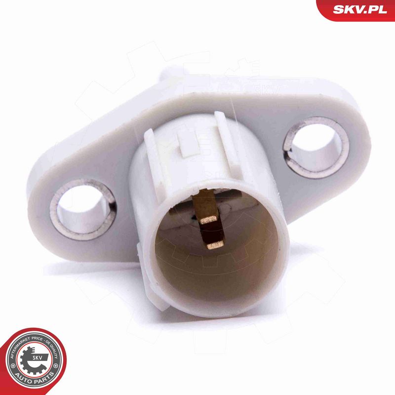 ESEN SKV 17SKV676 Sensor, intake air temperature