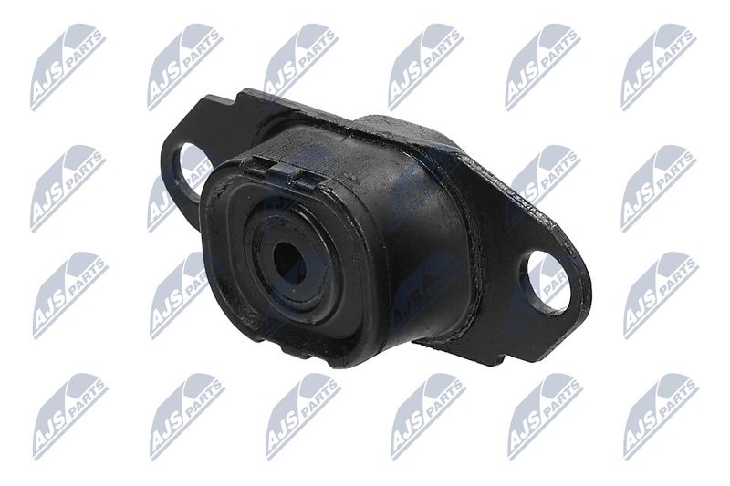 Paigutus, Mootor, NTY ZPS-NS-080