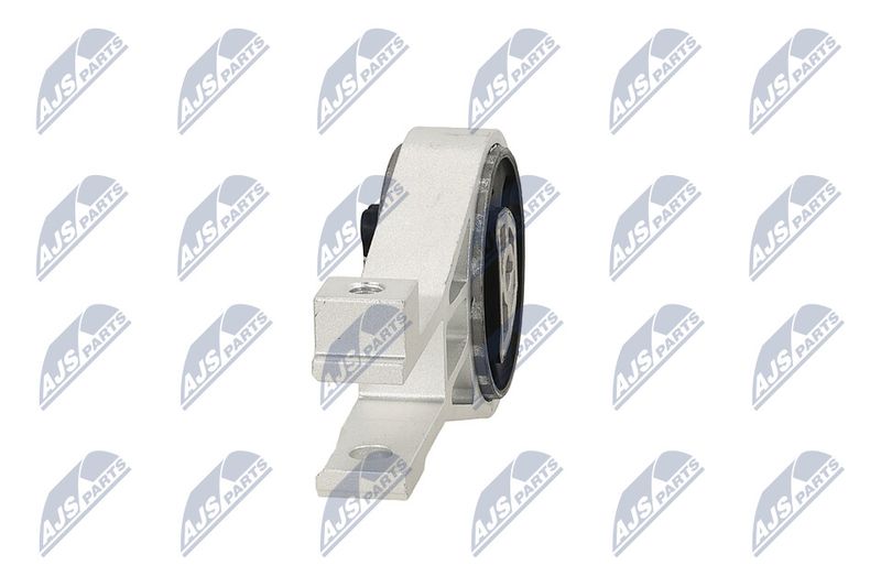 Paigutus, Mootor, NTY ZPS-PL-002