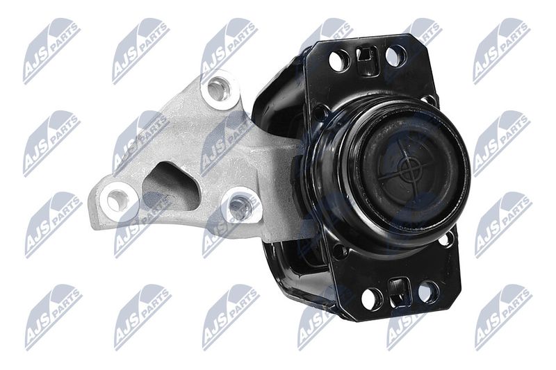 Paigutus, Mootor, NTY ZPS-PE-012