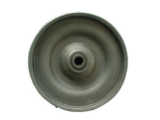 SPIDAN Servo pomp 53633