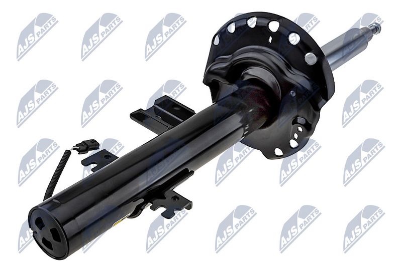 Amort, NTY A-LR-002