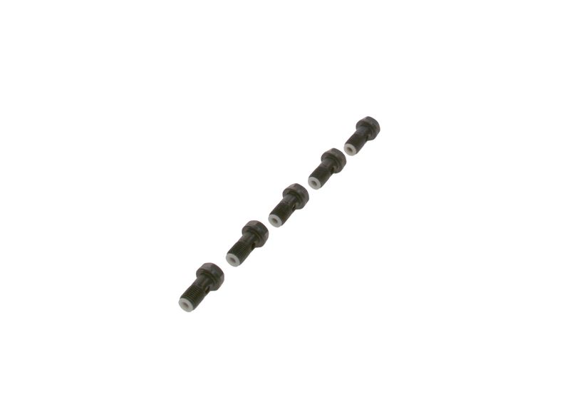 Surub F 019 D01 024 BOSCH