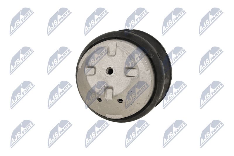 Paigutus, Mootor, NTY ZPS-ME-083