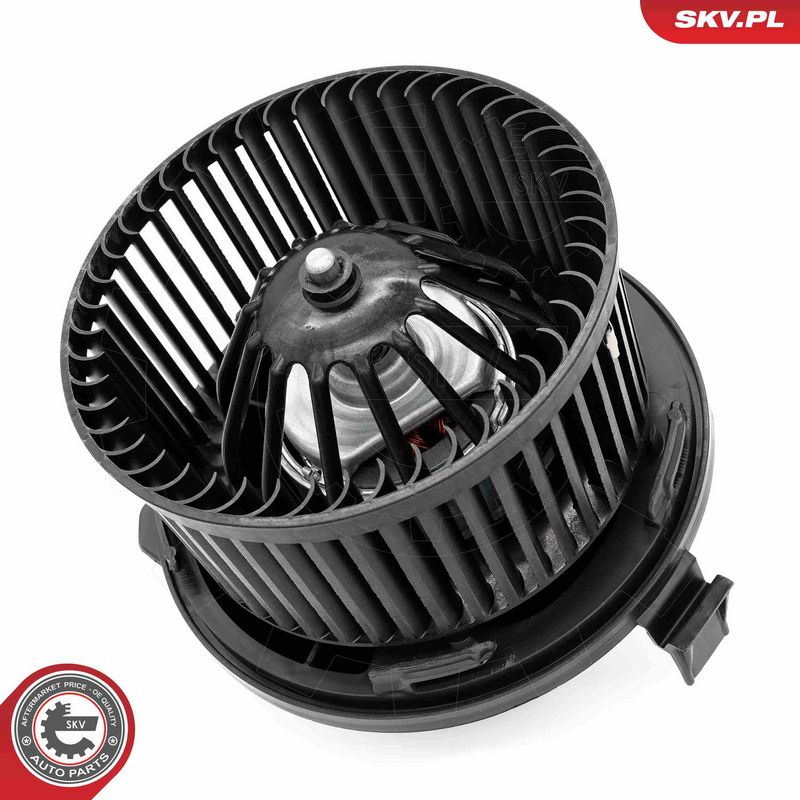 Salongipuhur, ESEN SKV...