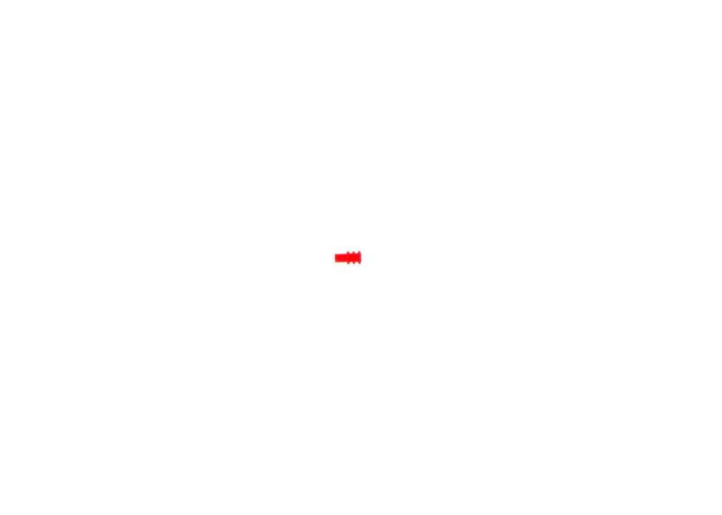 BOSCH 1 928 300 246 Seal