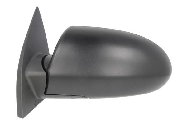 BLIC 5402-20-2001357P Exterior Mirror