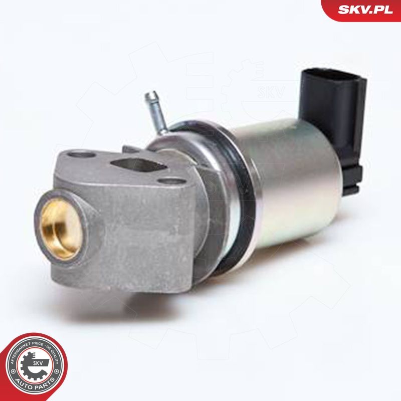 EGR-klapp, ESEN SKV 14SKV029