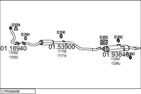 CITR09889B.JPG