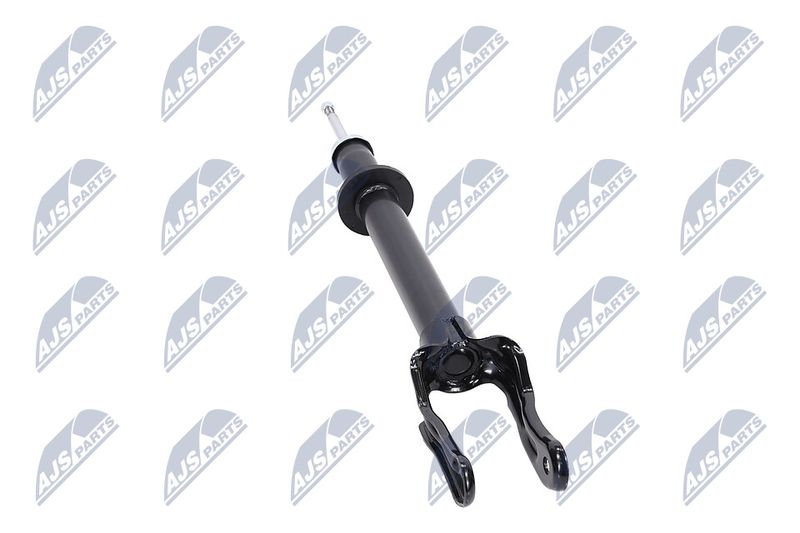 Amort, NTY A-CH-077