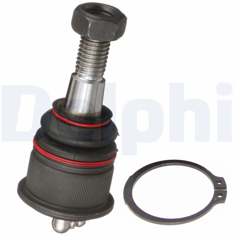 TC7754.JPG