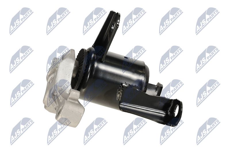 Paigutus, Mootor, NTY ZPS-FR-058