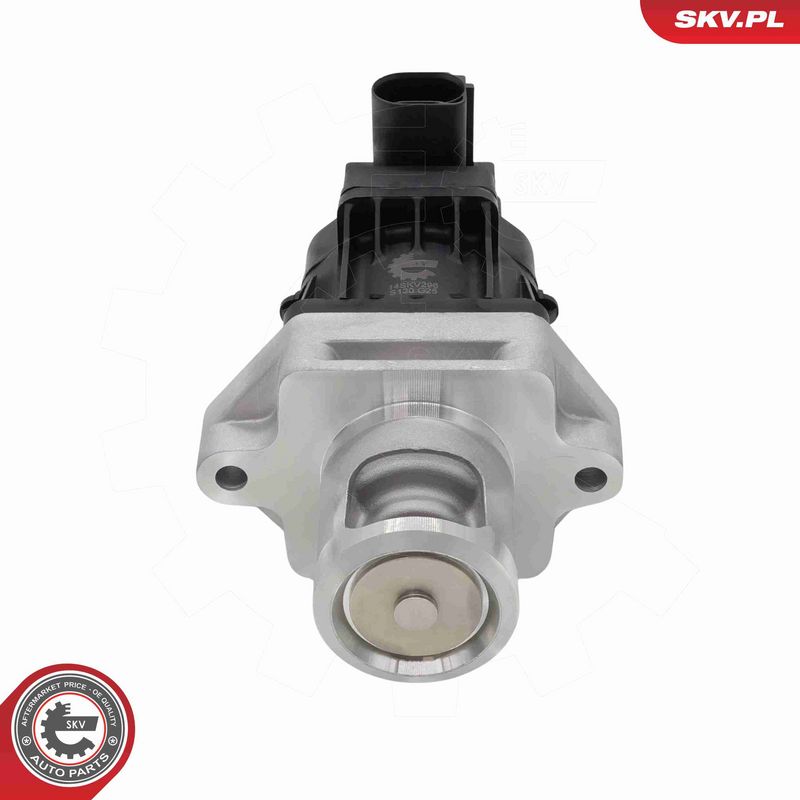 ESEN SKV 14SKV296 EGR Valve