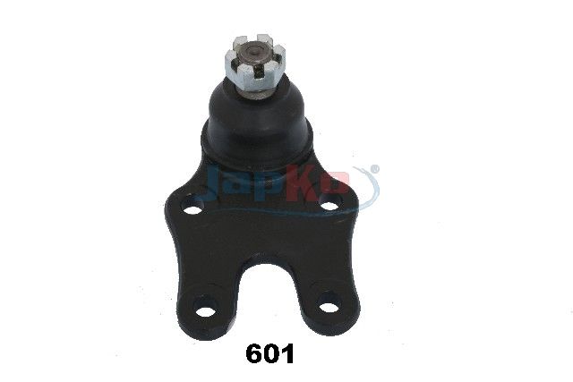 Kande-, juhtliigend, JAPKO...