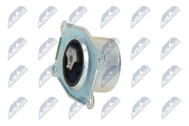 Paigutus, Mootor, NTY ZPS-PL-044