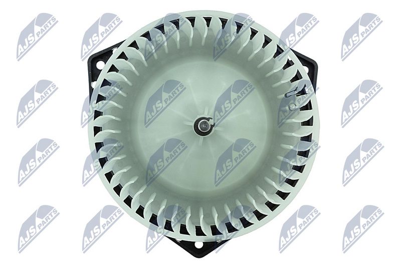Salongipuhur, NTY EWN-DW-001