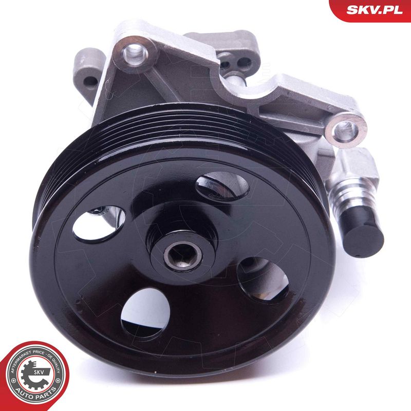 Hüdraulikapump, roolimine, ESEN SKV 10SKV270