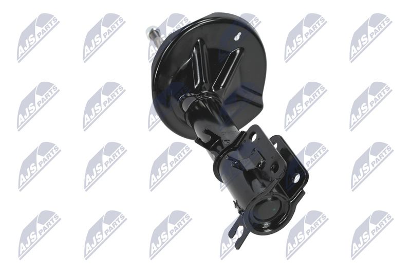 Amort, NTY A-CH-052
