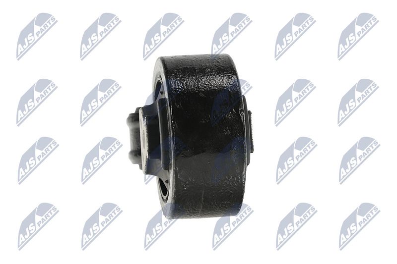 Paigutus, Mootor, NTY ZPS-CH-137