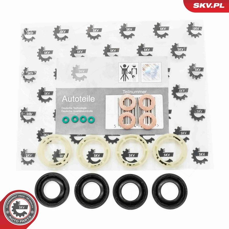 ESEN SKV 53SKV189 - Seal Kit, injector nozzle