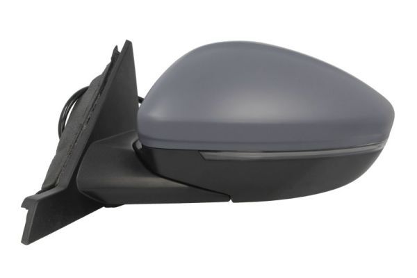 BLIC 5402-55-2672310P Exterior Mirror
