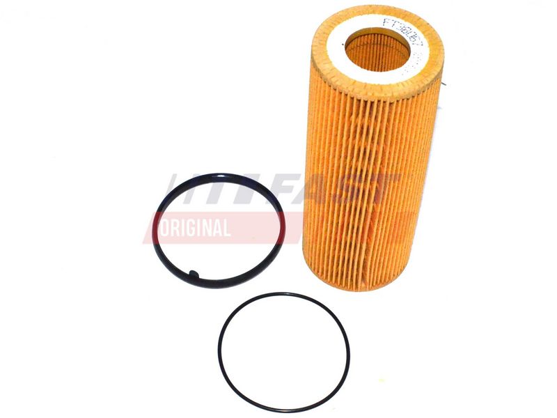 FAST FT38067 - Alyvos filtras