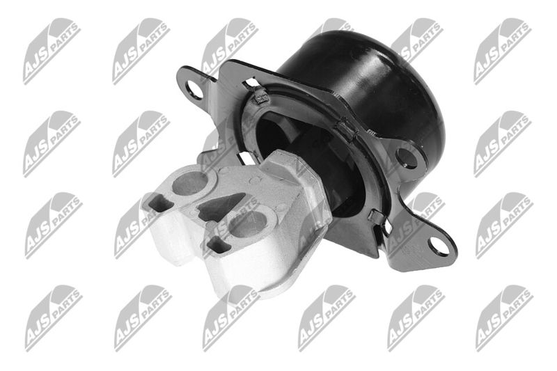 Paigutus, Mootor, NTY ZPS-PL-053