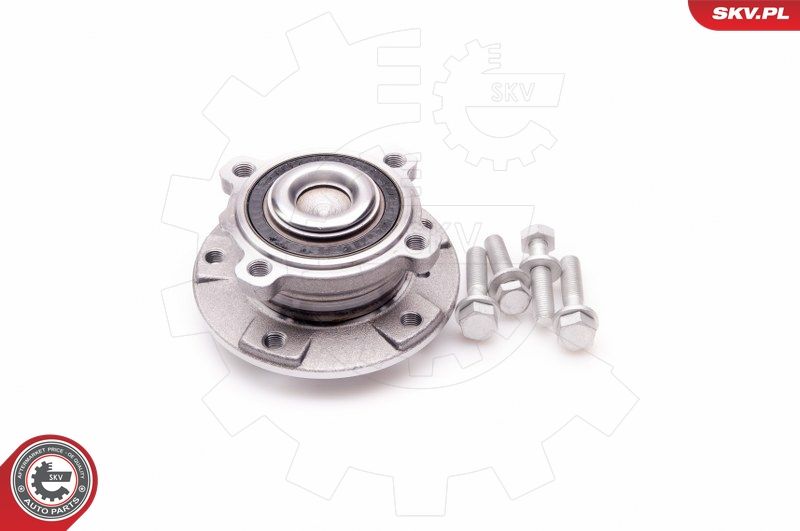 ESEN SKV 29SKV033 Wheel Bearing Kit