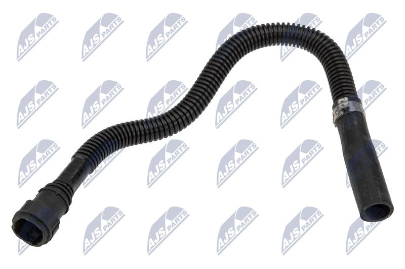 BPP-CT-029_1-WM.JPG