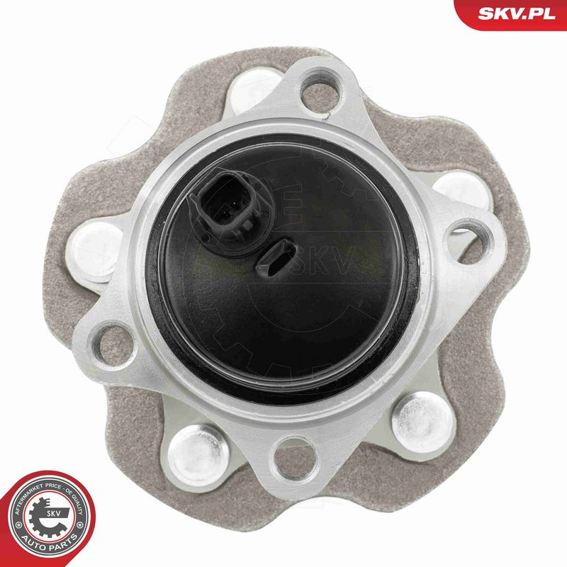 ESEN SKV 29SKV662 Wheel Bearing Kit