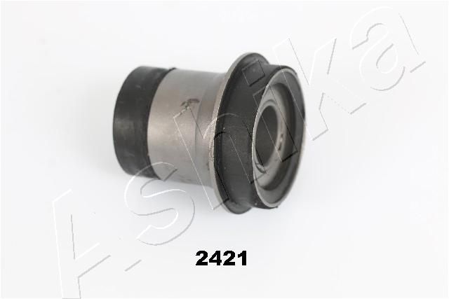 GOM-2421_1.JPG