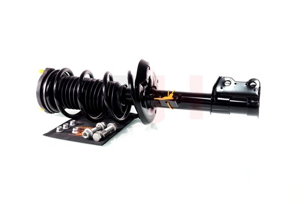 Vedruamort, GH GH-352388C01