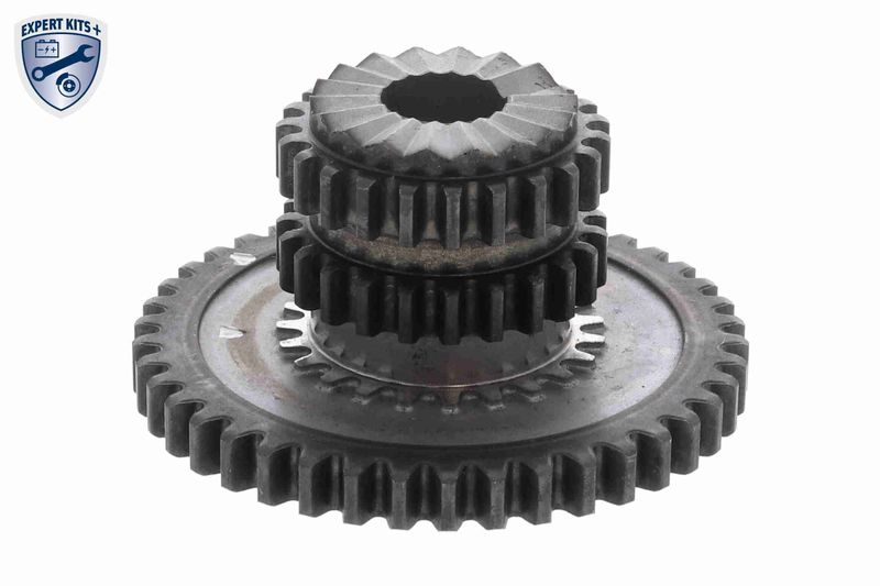 VAICO V10-5855 Chain Kit, oil pump drive