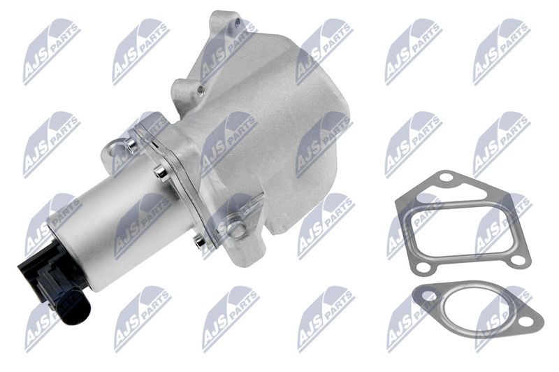 NTY EGR-DW-007 EGR Valve